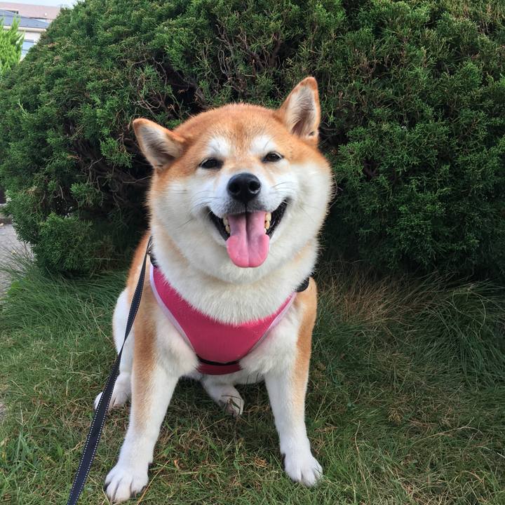 0d21c1f1 6f24 47ed a4bd f7ebb2a1116f 1597616386830