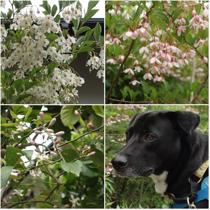 0d21d3ae 3f8f 44c7 a371 78a4c3292e30 1620261255701