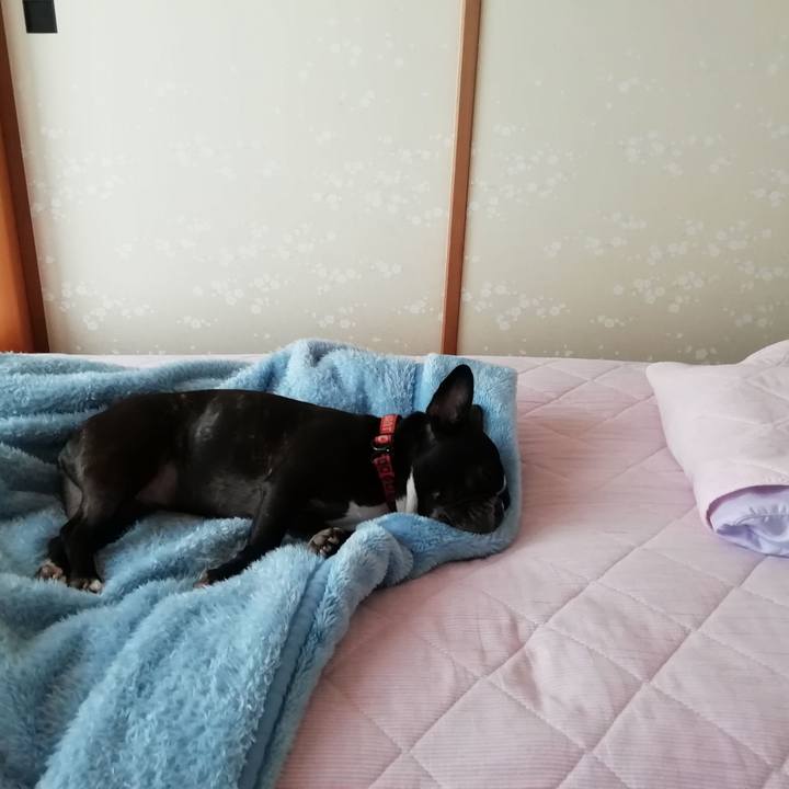 0d21df4c a987 48aa 9818 faf961cf5d9c 1559444098599