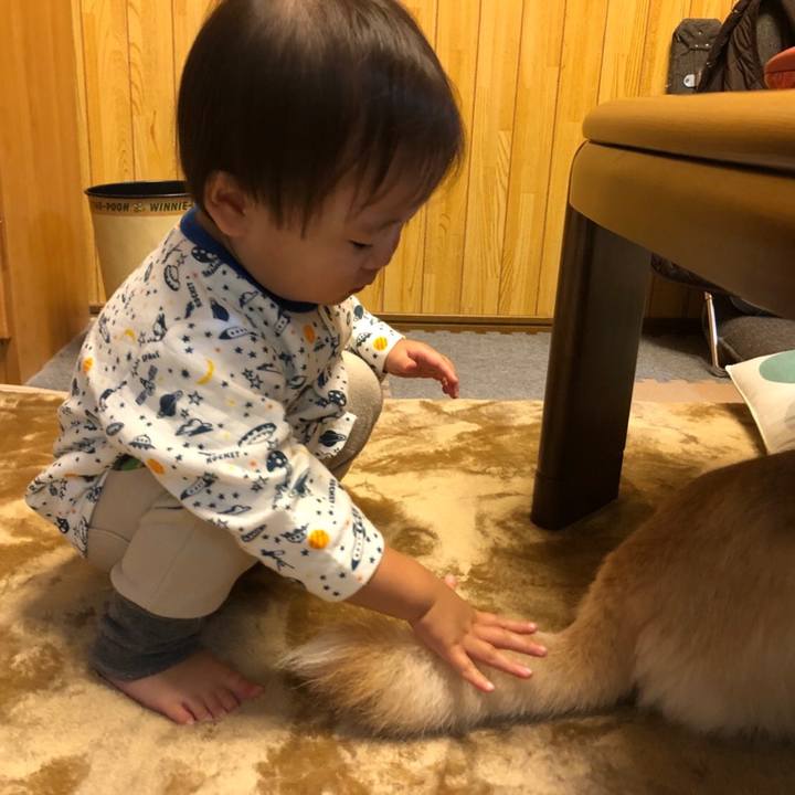 0d21e8d0 554d 4607 9988 ee295bc95695 1540625386954