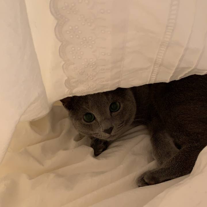 0d220b7d 285a 4fb8 8284 57a1ef308b7b 1582329645301