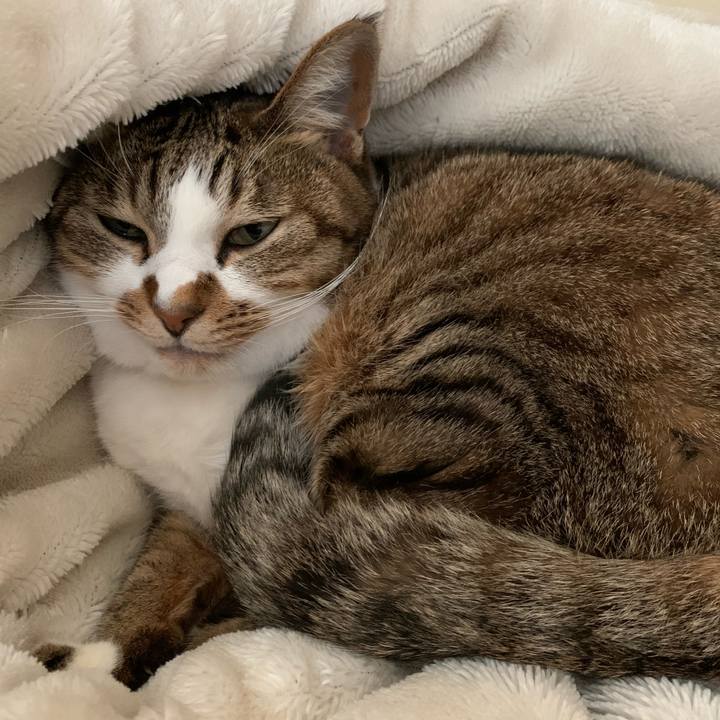 0d220b8b d388 4e34 99fd cd55a276ddda 1640928776771