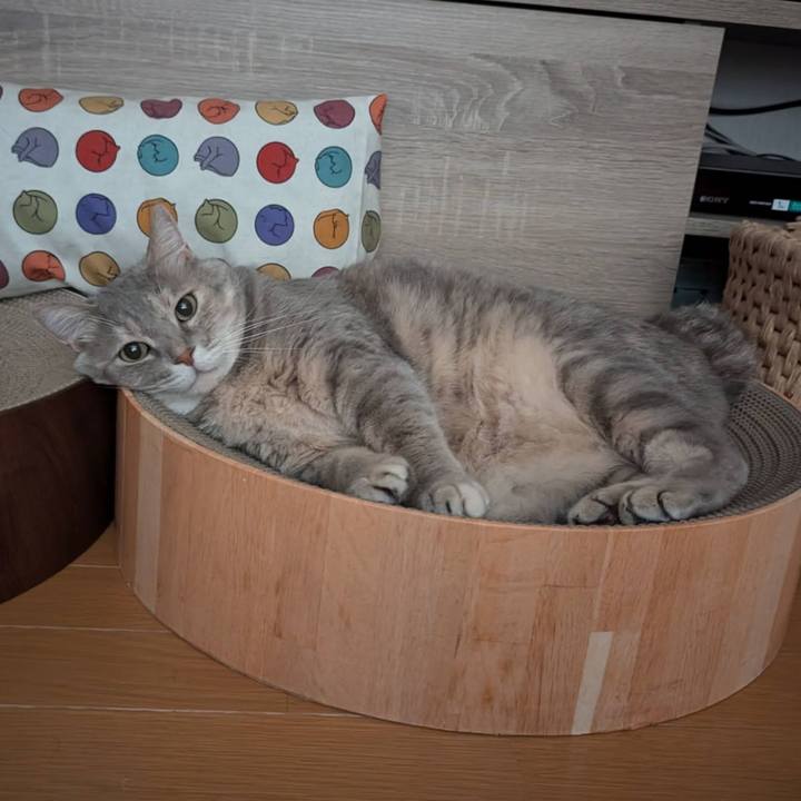 0d223f8b b913 4cdc 889f 3442b0cc5309 1723110263707