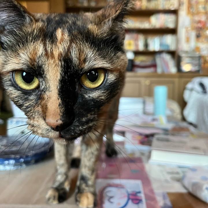 0d2249c5 66da 41a2 821d 7f45842f9cb1 1659831773592