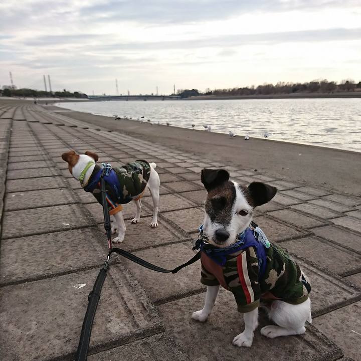 0d225bc5 31c0 43b1 9c32 71f0be53627e 1549181992695