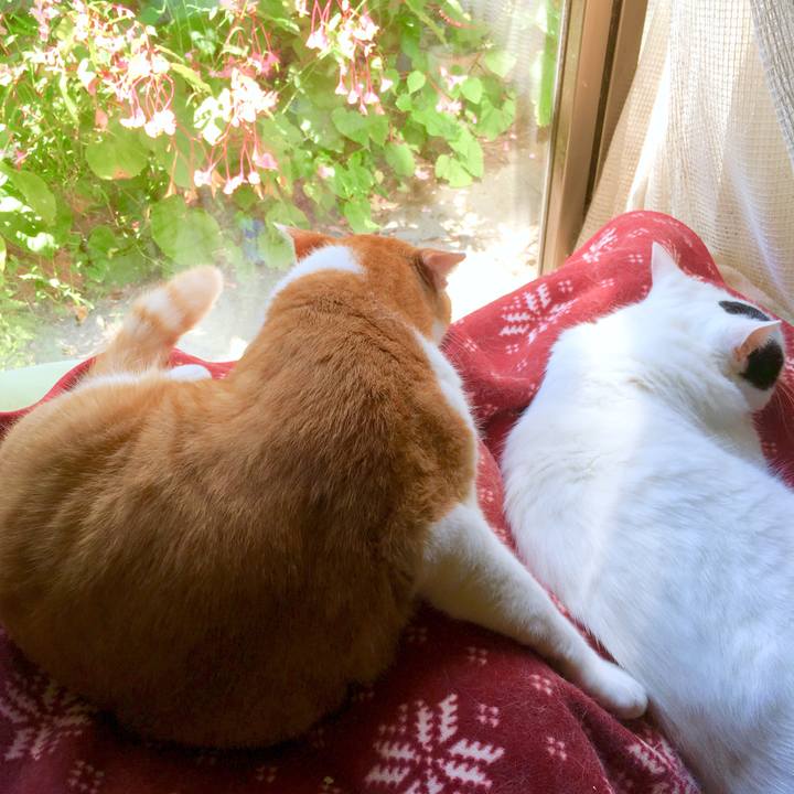 0d226de1 e93d 4329 9509 074043af3925 1569379825798