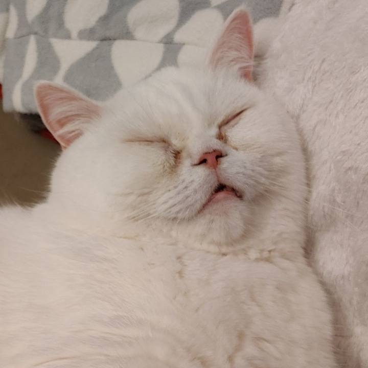 0d227a0f 86d4 4dbf b560 51538f5153de 1618042684205