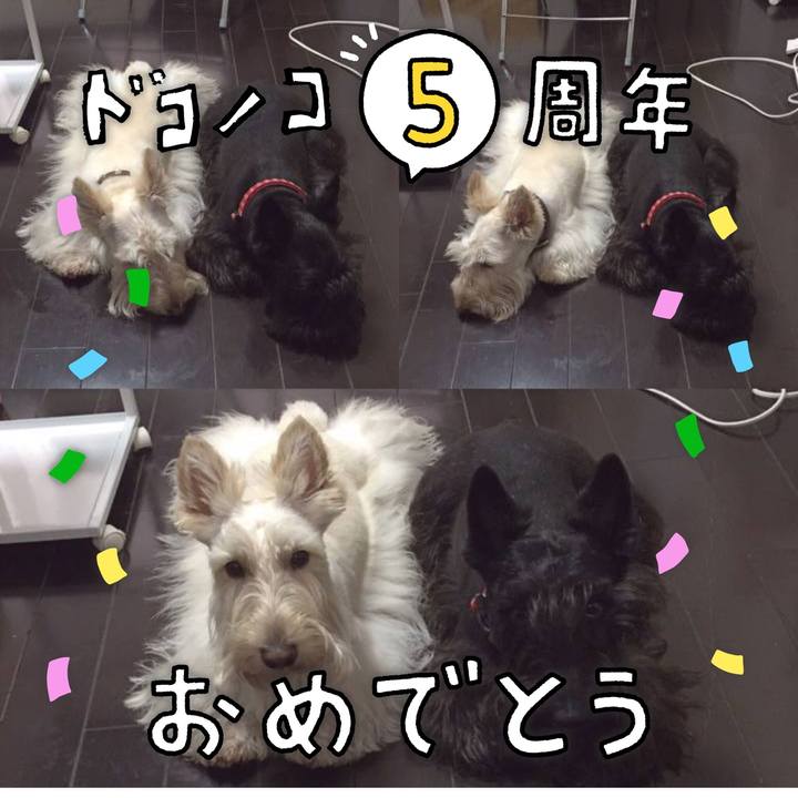 0d229175 2e6d 4c49 babb 4d2b1bdfd38f 1622867565137