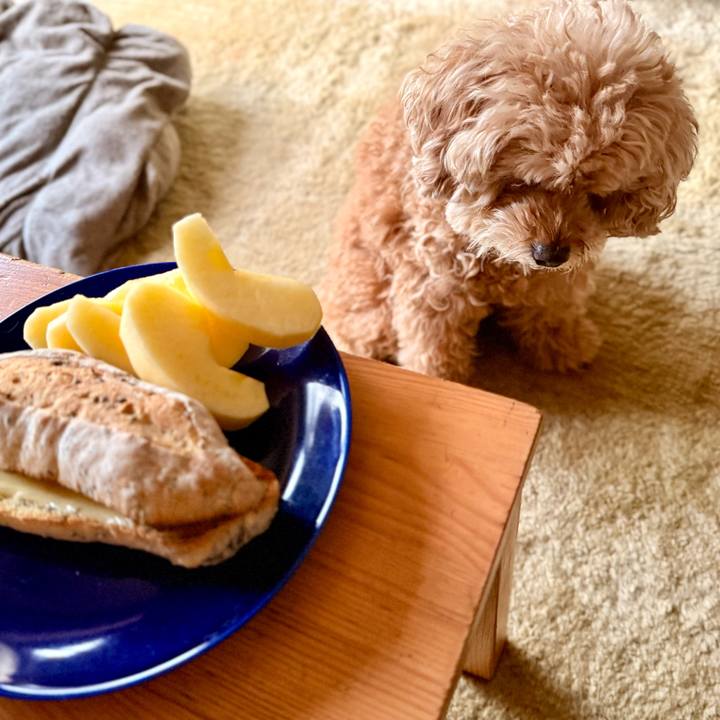 0d22b4fe 1287 45d4 86e3 31b727f47cf9 1762555179061