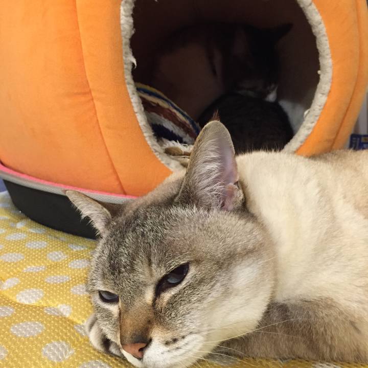 0d22bbeb 329c 47de 88eb 01a28270ed7a 1520068235430