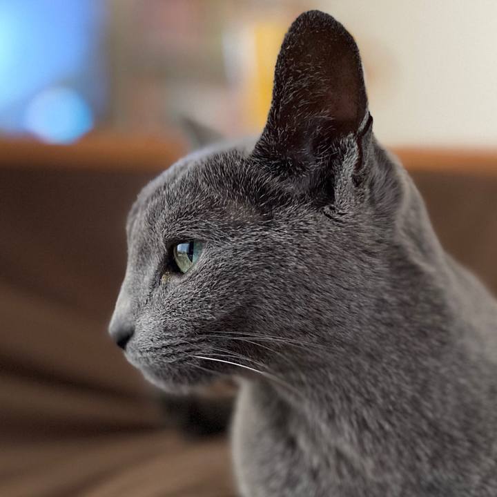 0d22d95b 2602 4c07 b5b9 40d8dee2fd50 1582359672910