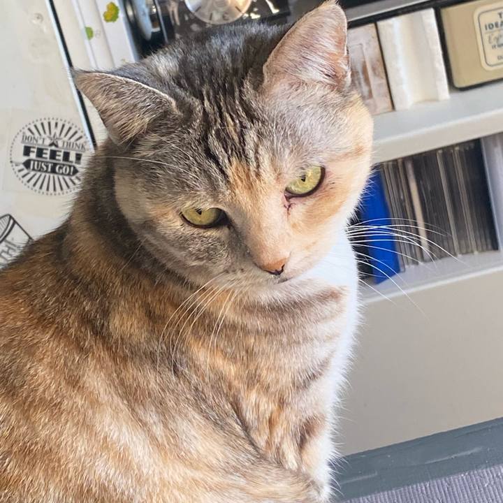 0d22e21a a998 49d9 8f0d 5861d66ef01f 1673295830025