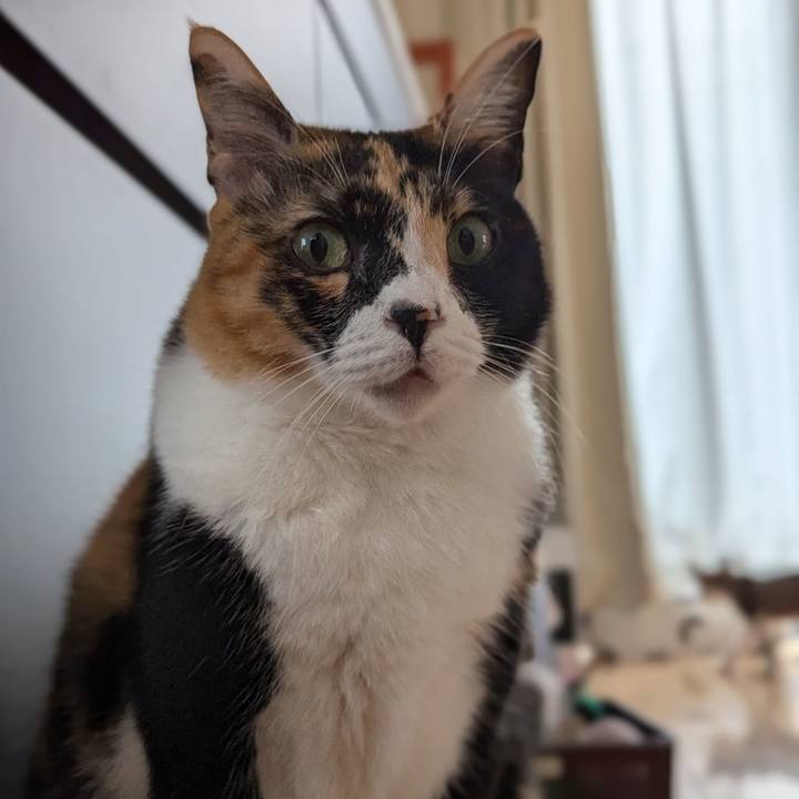 0d230b2a ae90 4739 a61b 45cd7833cfbf 1730705486470