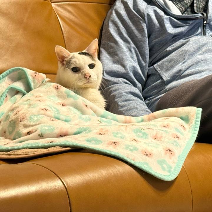 0d2339e6 8327 4364 9d5e 771ff1d28ba5 1761370934260