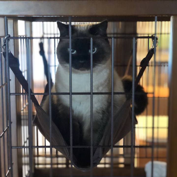 0d234ff3 baca 4073 8bd5 692571c17b50 1619403362969