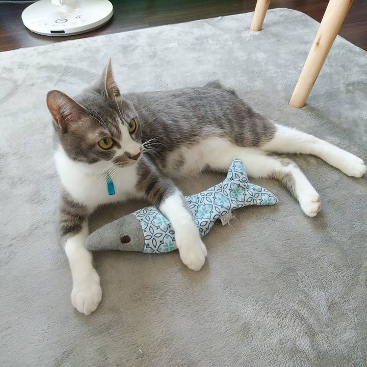 0d2351ad a745 43b3 9370 8a6dc04a9327 1590794895547