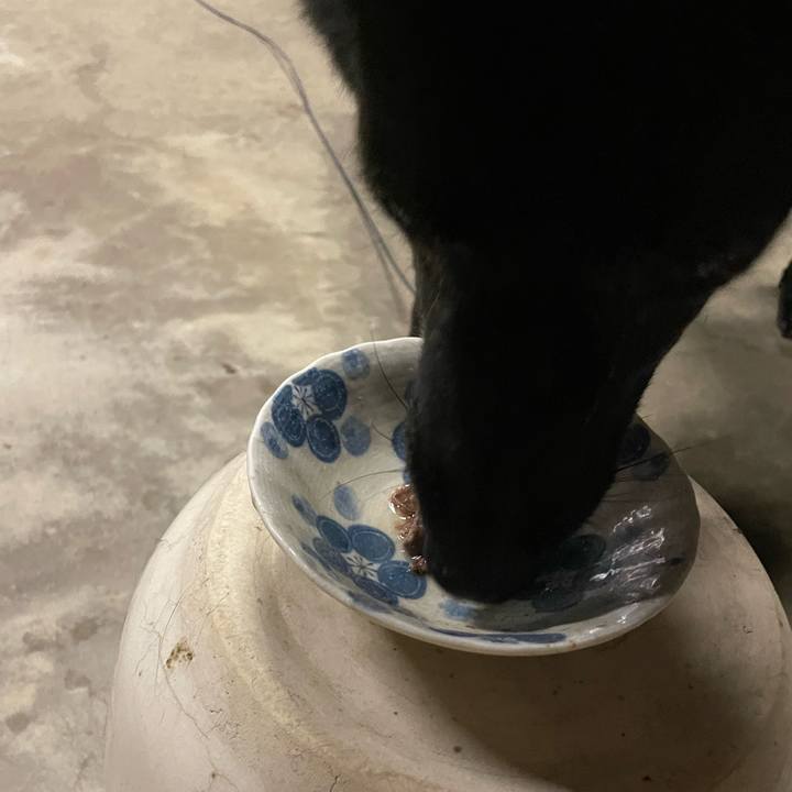 0d23698f 8311 4572 99f7 1dfb18fbc487 1658233123808