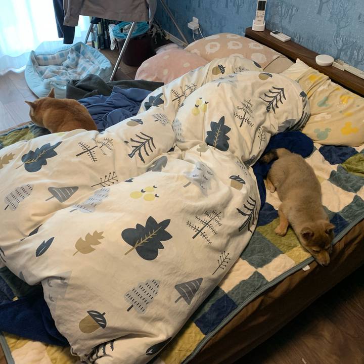 0d23747e 8579 4945 adfe 45084b407190 1619838627273