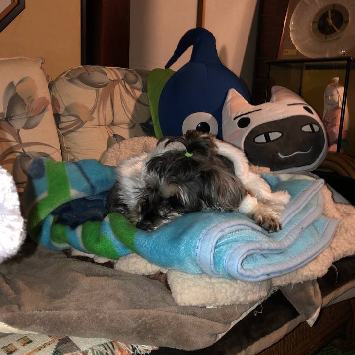 0d2397fa 95a9 45af bcf9 25dd802387aa 1514122316549