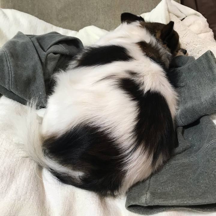 0d23c53a 22cf 479e 9cf2 a84bec2c161b 1699624050131