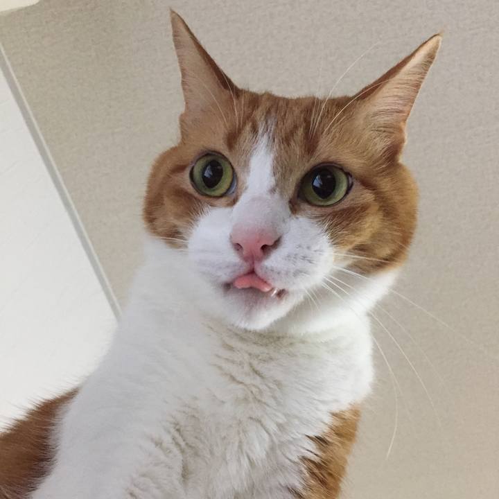 0d23ca22 25b2 42a5 9a59 2c4d34f33d40 1513945638286