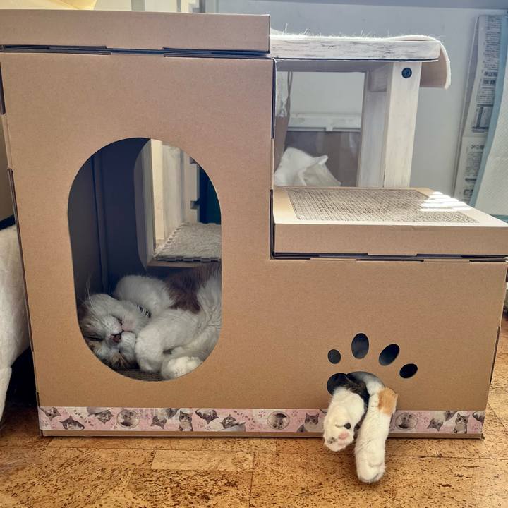 0d23f6eb 5cc7 40d9 b428 044ffc0eb57e 1699157318974