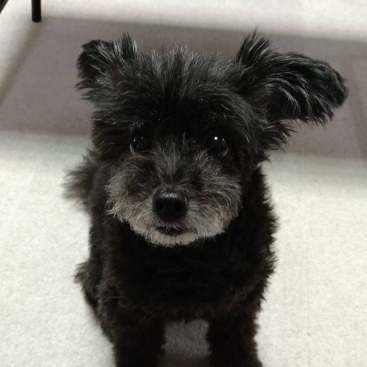 0d2445a9 0464 4e10 bb1b 06221ccc9b85 1630667012145