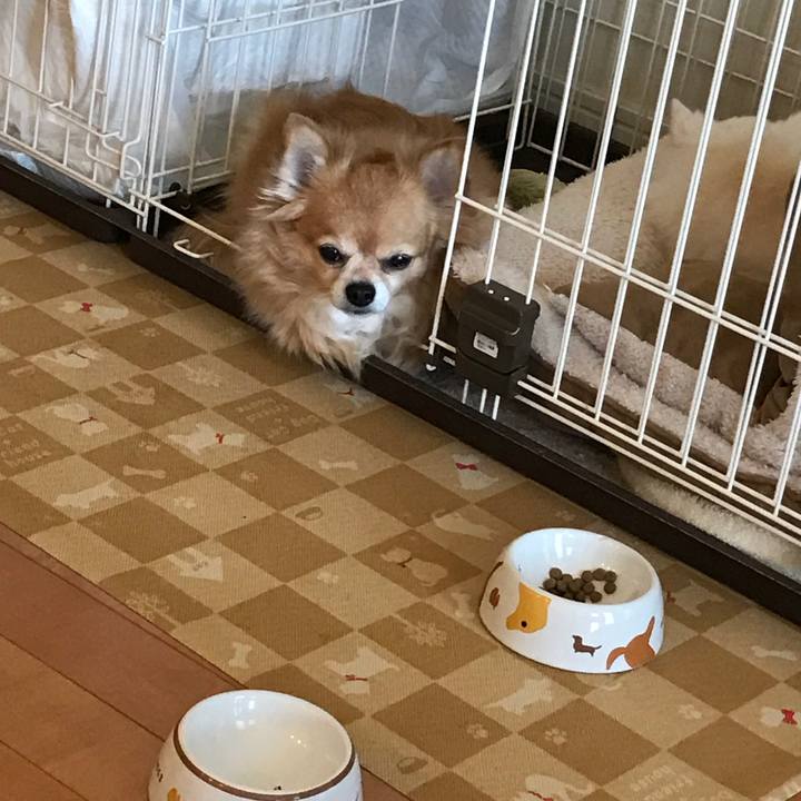 0d2454dd 00e9 48e0 a7a0 1150258a4041 1519948517553