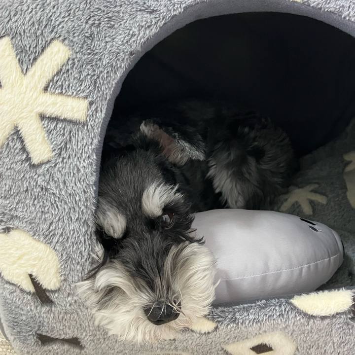 0d245b60 2cb3 4178 b84e 51fc5035240d 1762133681876