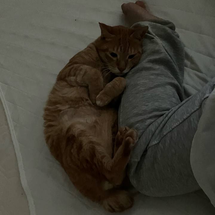 0d249d72 1f74 4141 9850 f275730ee796 1767312113193