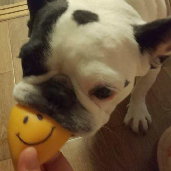 0d24ccf2 bddb 4836 8bb5 134617ce2d4d 1604975855829