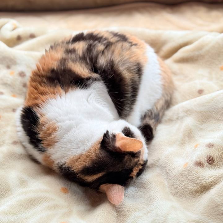 0d24d6bb e3f8 4be3 a468 f7b16cb880cc 1745113835505