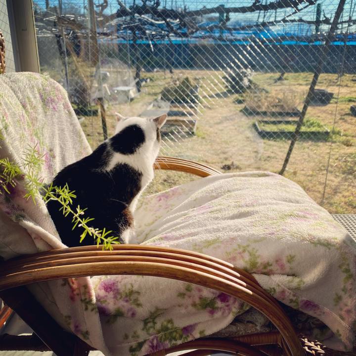 0d250de2 0384 48cc b350 7d6ddd8c18bd 1614727638923