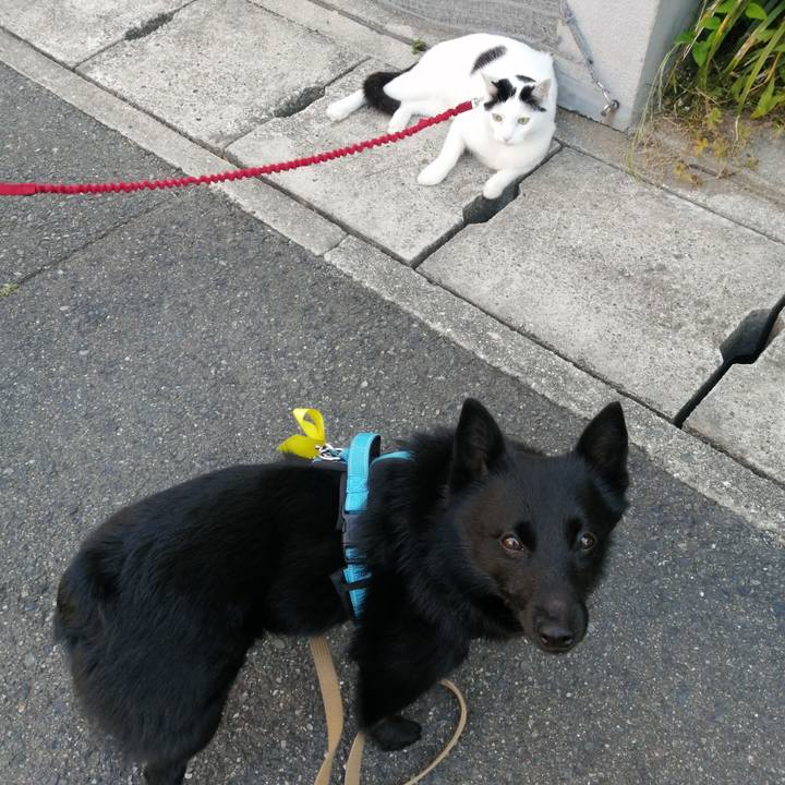 0d25349d 8059 4b30 b800 0e3bdc6aaa42 1653814822047