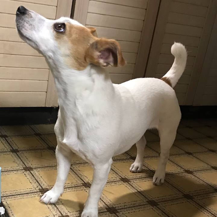 0d25456f ef12 4c70 b137 9ff54dc34dd5 1581477197635