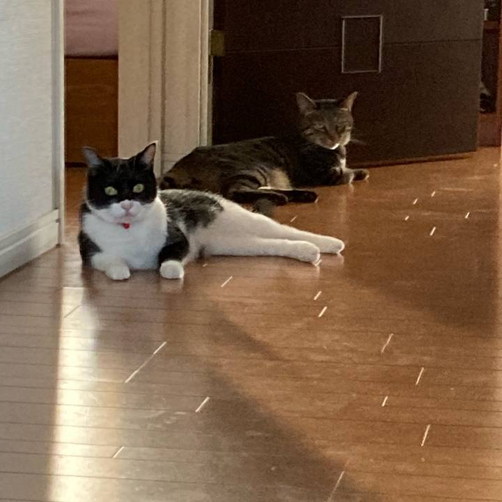 0d2552f2 4852 4f4d 98a4 d4b7aa966d34 1625903022835