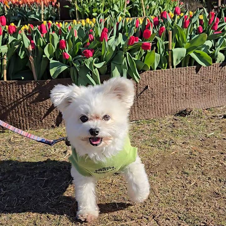 0d255aa1 204a 448b bcd2 20e5d2defabe 1768208428789