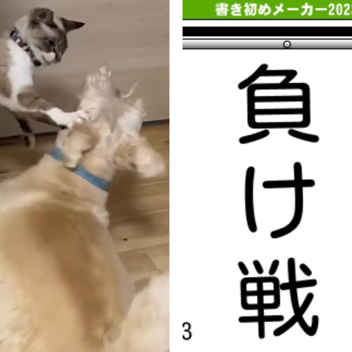 0d259886 cba7 4027 bb7b 332271af9775 1672715212200