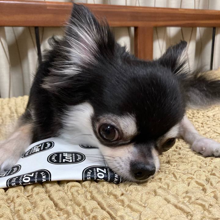 0d25b8e1 491f 46c3 813d e823f781d8df 1658149352798