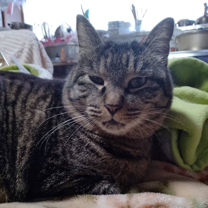 0d25c8c4 67b8 4c78 a74a 743e85b3fb07 1675320737074