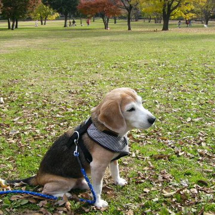 0d260232 ff72 443f b577 55bfd04108a8 1657930284038