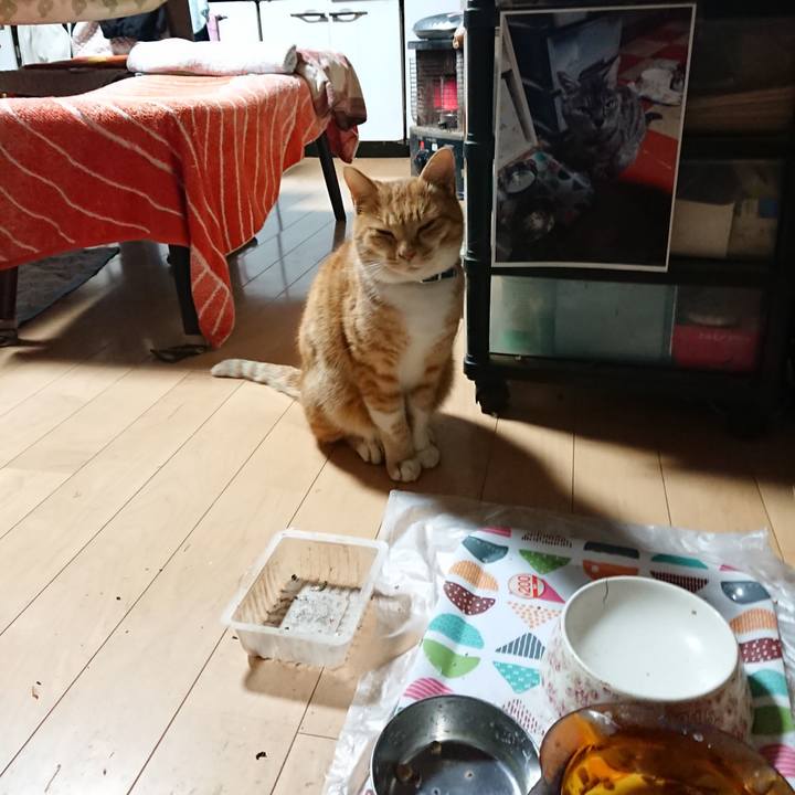 0d26096a 3753 4aea b462 e33f949238ec 1606420856324