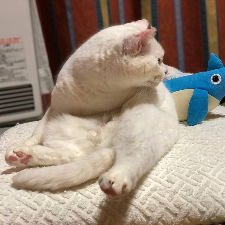 0d261f13 826c 4bd7 b151 7fe89f845022 1548559792185