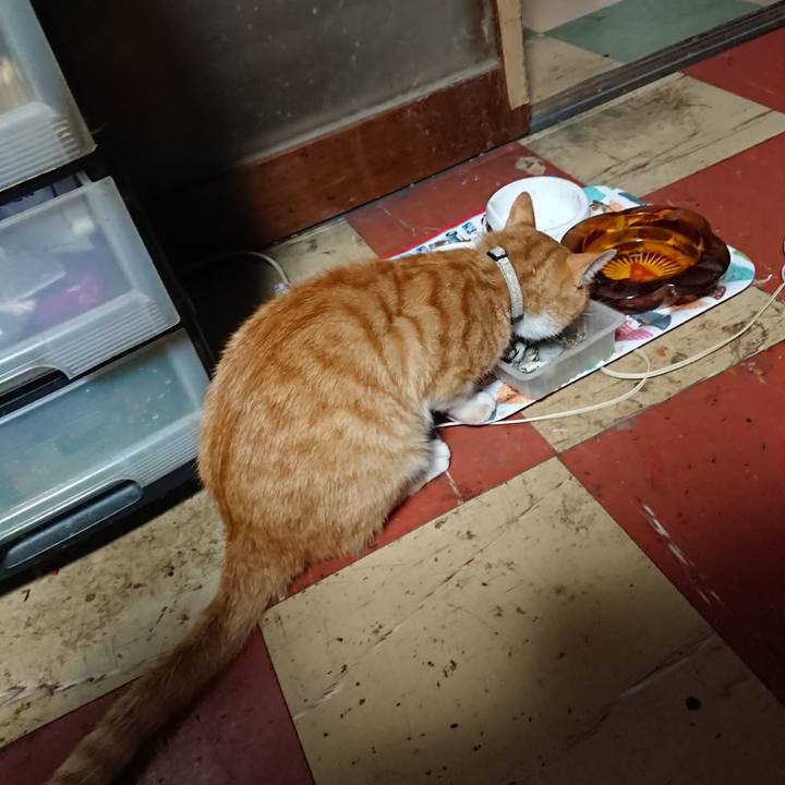 0d264656 4c4f 4509 a24a 2863d32fa496 1592248997839