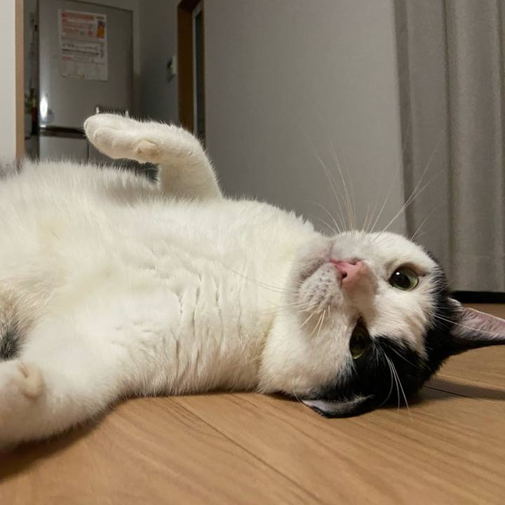 0d264e3e 2a1c 422d b630 bc9ee6e9a34c 1598355837771