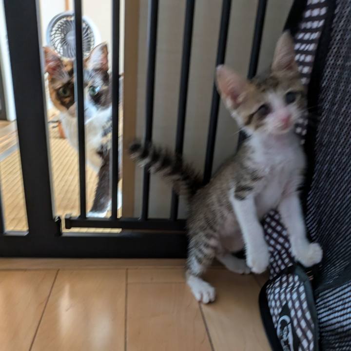 0d2669d5 db75 4d82 8c78 4161dd99bfd7 1727774892207