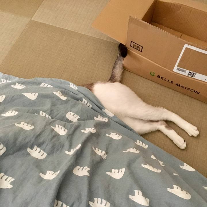 0d268275 cc0a 42c8 aab0 d063cae275e3 1563501042107