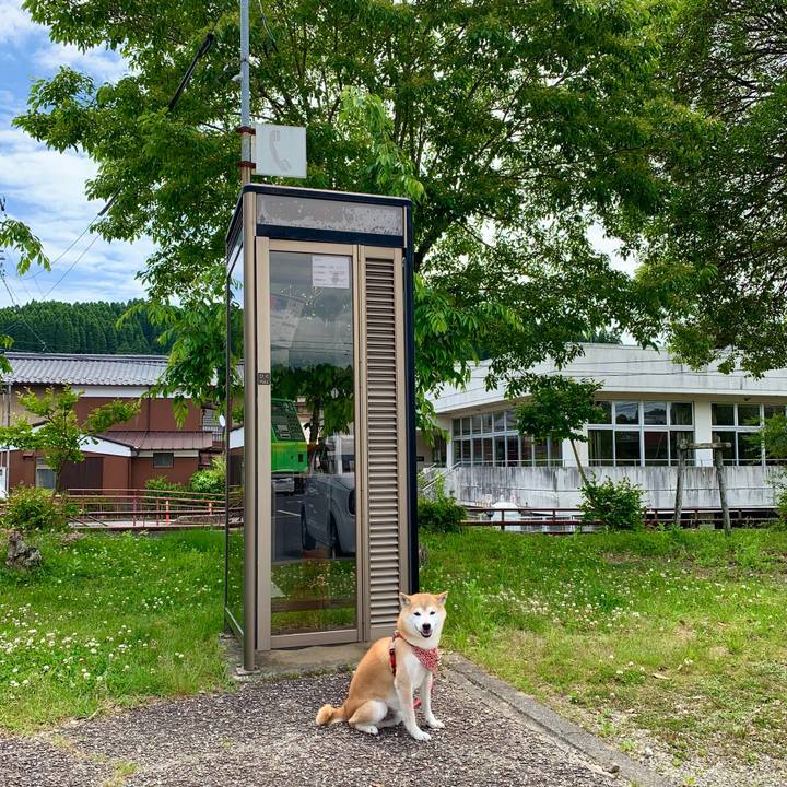 0d2697a6 f521 47f1 86f3 b93cb72b2e46 1685095817991