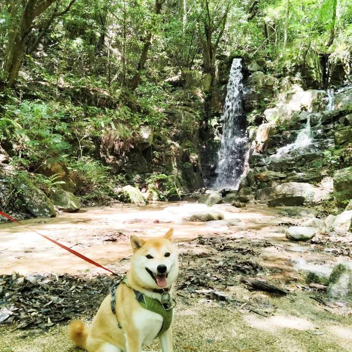 0d26c084 1384 4c29 9195 75924a5a22b6 1684538452867