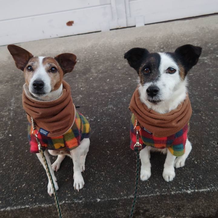 0d2708f1 b877 47c3 9418 d7abeabaa65c 1769034985892